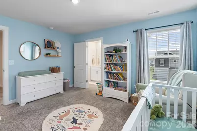 322 Hyssop Court, Fort Mill, SC 29715 - Photo 35