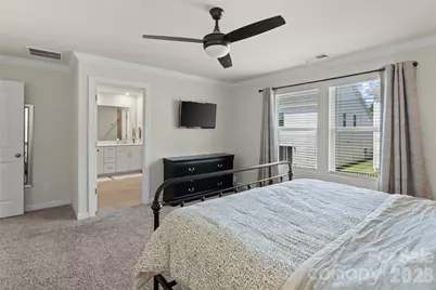 322 Hyssop Court, Fort Mill, SC 29715 - Photo 21