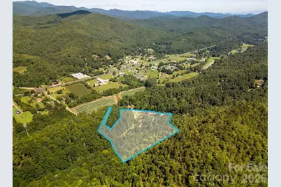 354 King Road, Pisgah Forest, NC 28768 - Photo 47