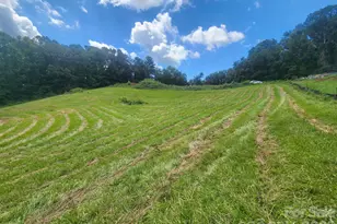 22 Setter Ln, Weaverville, NC 28787 - Photo 1