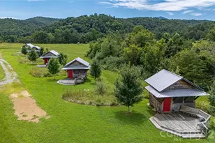 1295 Paint Rock Rd, Hot Springs, NC 28743 - Photo 7