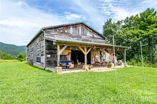 1295 Paint Rock Rd, Hot Springs, NC 28743 - Photo 21