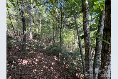 Lot 18-15 Waters Edge Drive #18-15, Nebo, NC 28761 - Photo 13