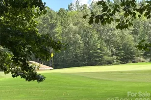 223 Old Harbor Dr, Mount Gilead, NC 27306 - Photo 31
