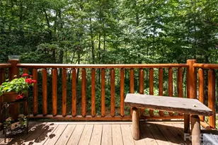 95 Splendor Rdg, Waynesville, NC 28785 - Photo 33