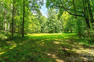 570 Flat Creek Valley Rd, Lake Toxaway, NC 28747 - Photo 41