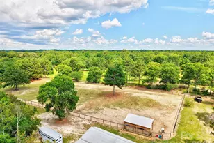 1377 Pine Rd, Camden, SC 29020 - Photo 13