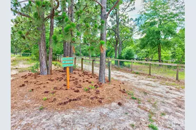 1377 Pine Road, Camden, SC 29020 - Photo 9