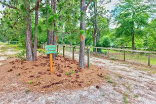 1377 Pine Rd, Camden, SC 29020 - Photo 9