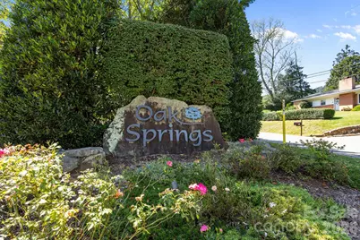 18 Oak Springs Drive, Arden, NC 28704 - Photo 39