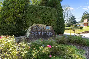 18 Oak Springs Dr, Arden, NC 28704 - Photo 39