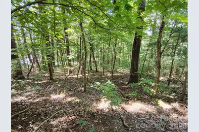 99999 Balsam Court #12B, Arden, NC 28704 - Photo 11