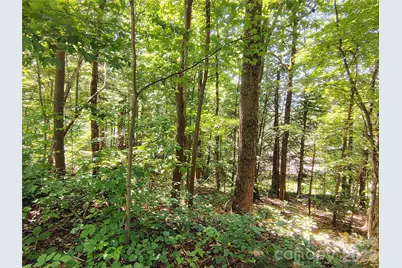 99999 Balsam Court #12B, Arden, NC 28704 - Photo 7
