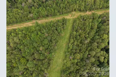 711 Pine Cove Road, Taylorsville, NC 28681 - Photo 3