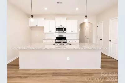 3048 Aberleaf Lane, Charlotte, NC 28227 - Photo 3