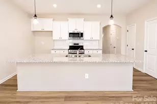 3048 Aberleaf Ln, Charlotte, NC 28227 - Photo 3