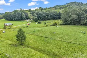 136 Limousine Ln, Pisgah Forest, NC 28768 - Photo 37
