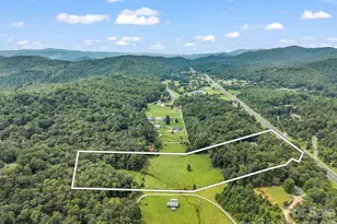 136 Limousine Ln, Pisgah Forest, NC 28768 - Photo 29