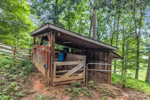 136 Limousine Ln, Pisgah Forest, NC 28768 - Photo 39