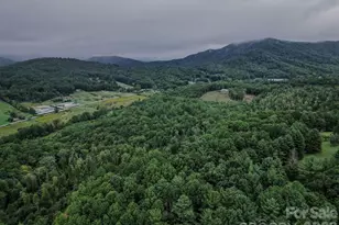 71 Reserve Dr, Burnsville, NC 28714 - Photo 5