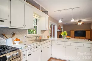 8 Galax Ln, Hendersonville, NC 28791 - Photo 19