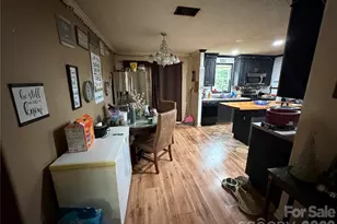 263 Coyote Pass Ln, Rutherfordton, NC 28139 - Photo 27