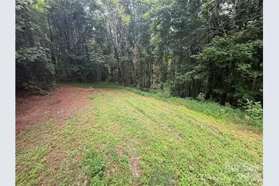 263 Coyote Pass Lane, Rutherfordton, NC 28139 - Photo 9