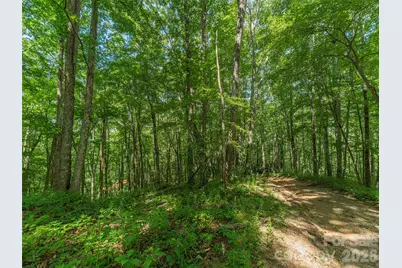 132 Grouse Road #131, 132, 133, 134, Clyde, NC 28721 - Photo 3