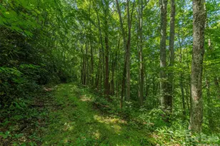 132 Grouse Rd, Clyde, NC 28721 - Photo 1