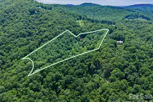 185 Bluebird Ln, Spruce Pine, NC 28777 - Photo 33
