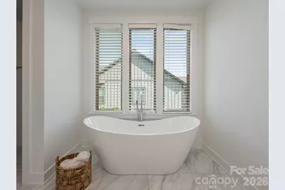 46 Solomia Drive, Mills River, NC 28759 - Photo 31