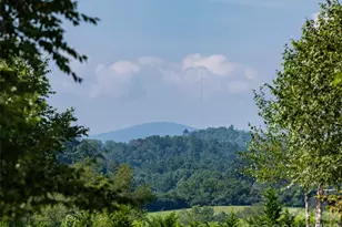 46 Solomia Dr, Mills River, NC 28759 - Photo 41