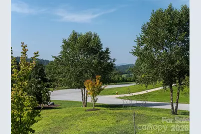 46 Solomia Drive, Mills River, NC 28759 - Photo 39