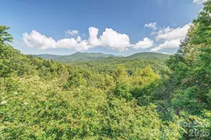 94 Marcellina Dr, Fairview, NC 28730 - Photo 5