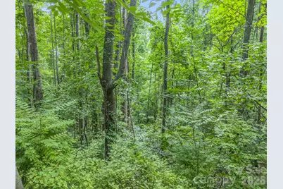 99999 Crestview Drive #A11, Black Mountain, NC 28711 - Photo 11