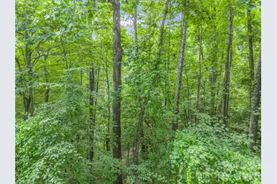 99999 Crestview Drive #A11, Black Mountain, NC 28711 - Photo 9