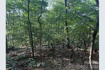 V/L Scenic Vista Drive #332/333, Nebo, NC 28761 - Photo 11