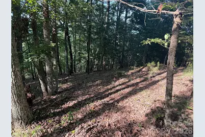 V/L Scenic Vista Drive #332/333, Nebo, NC 28761 - Photo 7
