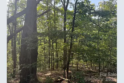 V/L Scenic Vista Drive #332/333, Nebo, NC 28761 - Photo 13