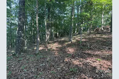 V/L Scenic Vista Drive #332/333, Nebo, NC 28761 - Photo 9
