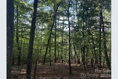 V/L Scenic Vista Drive #332/333, Nebo, NC 28761 - Photo 5