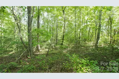 0 Beargrass Lane, Sherrills Ford, NC 28673 - Photo 7