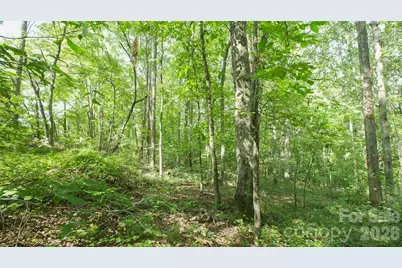 0 Beargrass Lane, Sherrills Ford, NC 28673 - Photo 9