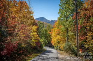 398 Locust Dr, Maggie Valley, NC 28751 - Photo 35