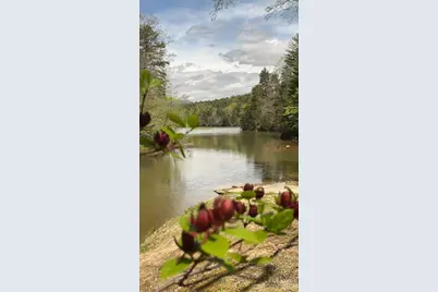 188 Uptons Landing Road, Marion, NC 28752 - Photo 17