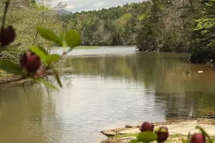188 Uptons Landing Rd, Marion, NC 28752 - Photo 17