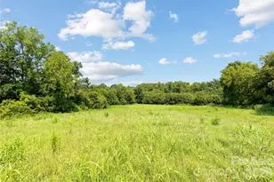0 Pasture Pl, Mount Ulla, NC 28125 - Photo 3