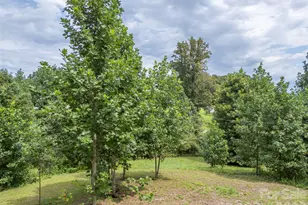 375 E King St, East Flat Rock, NC 28726 - Photo 37