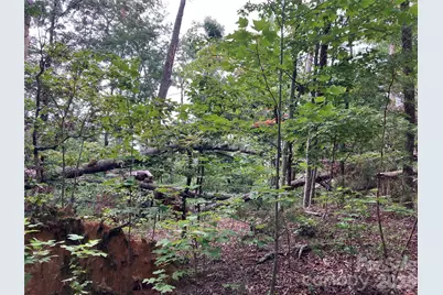 00 Tyler Terrace #Lot 11, Rutherfordton, NC 28139 - Photo 5