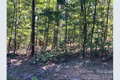 00 Tyler Terrace #Lot 11, Rutherfordton, NC 28139 - Photo 17